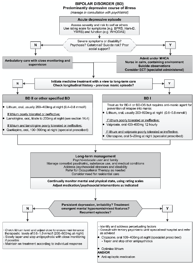 Bipolar Disorder BD.png
