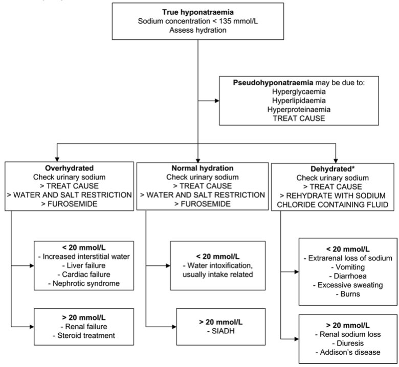 HYPONATRAEMIA.jpg